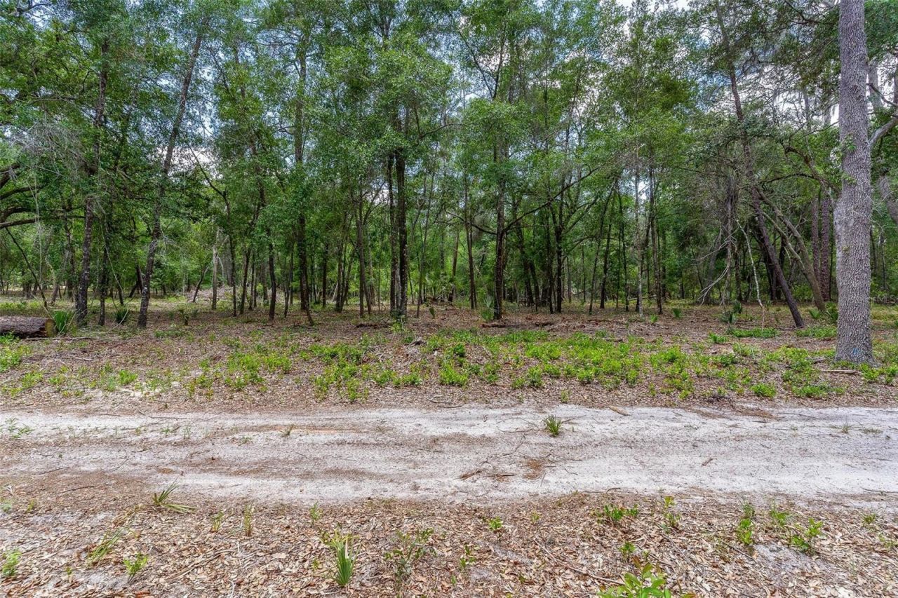 Se 152nd - Lot 16 (ravenswood Rd) Parcel B Place, Altoona, FL 32702 Photo