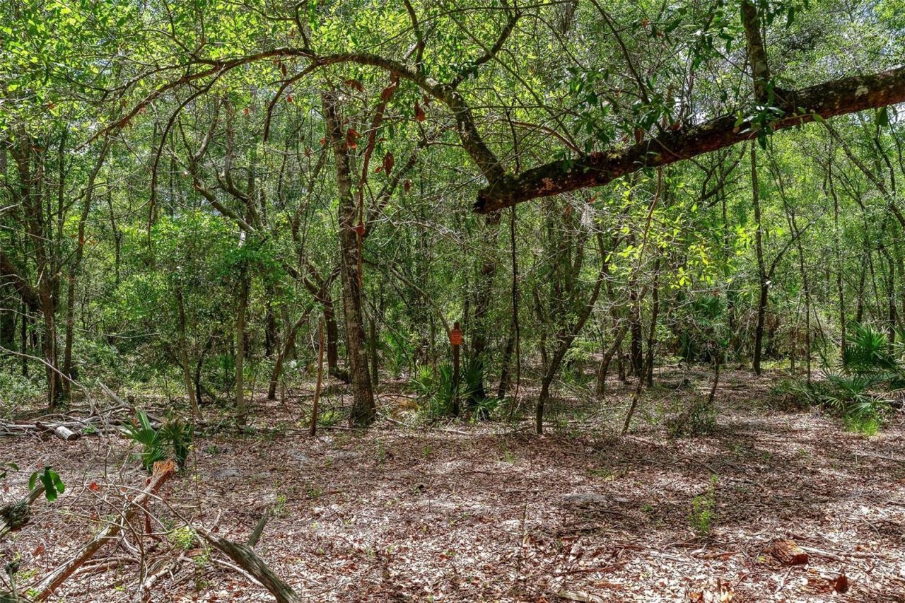 Se 152nd - Lot 16 (ravenswood Rd) Parcel B Place, Altoona, FL 32702 Photo