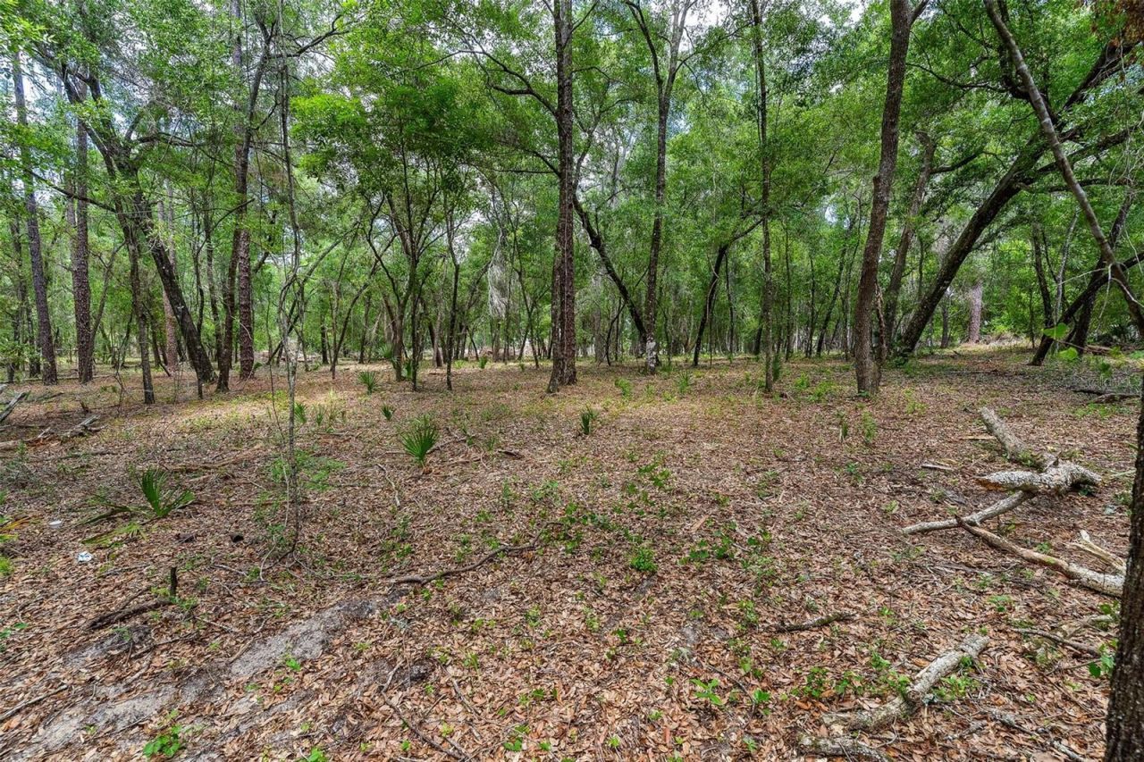 Se 152nd - Lot 16 (ravenswood Rd) Parcel B Place, Altoona, FL 32702 Photo