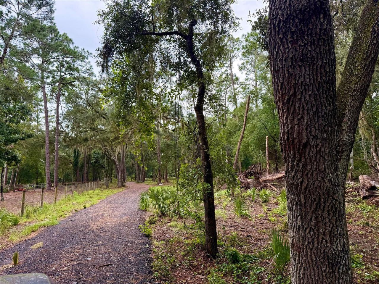 Se 152nd - Lot 16 (ravenswood Rd) Parcel B Place, Altoona, FL 32702 Photo
