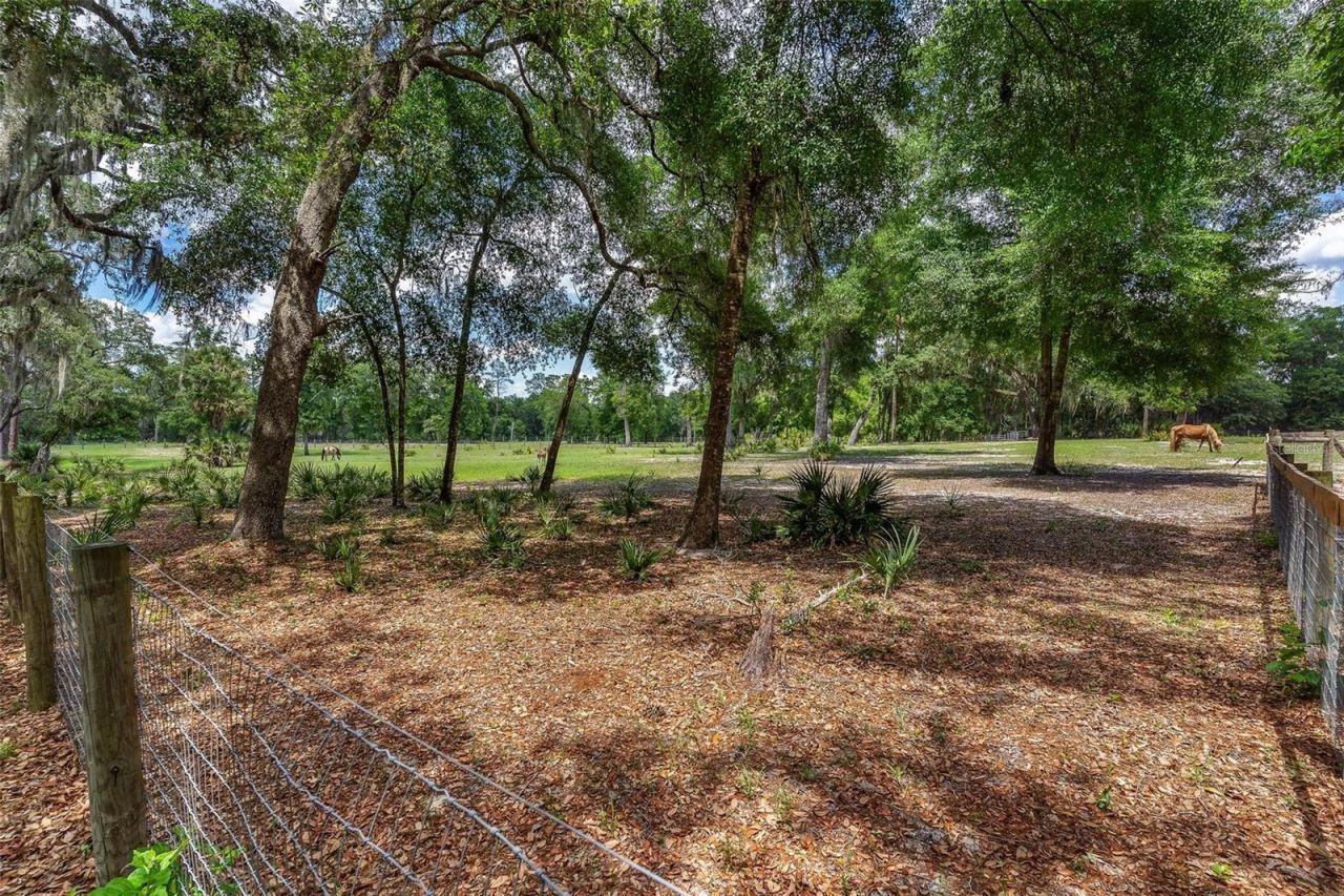 Se 152nd - Lot 16 (ravenswood Rd) Parcel B Place, Altoona, FL 32702 Photo