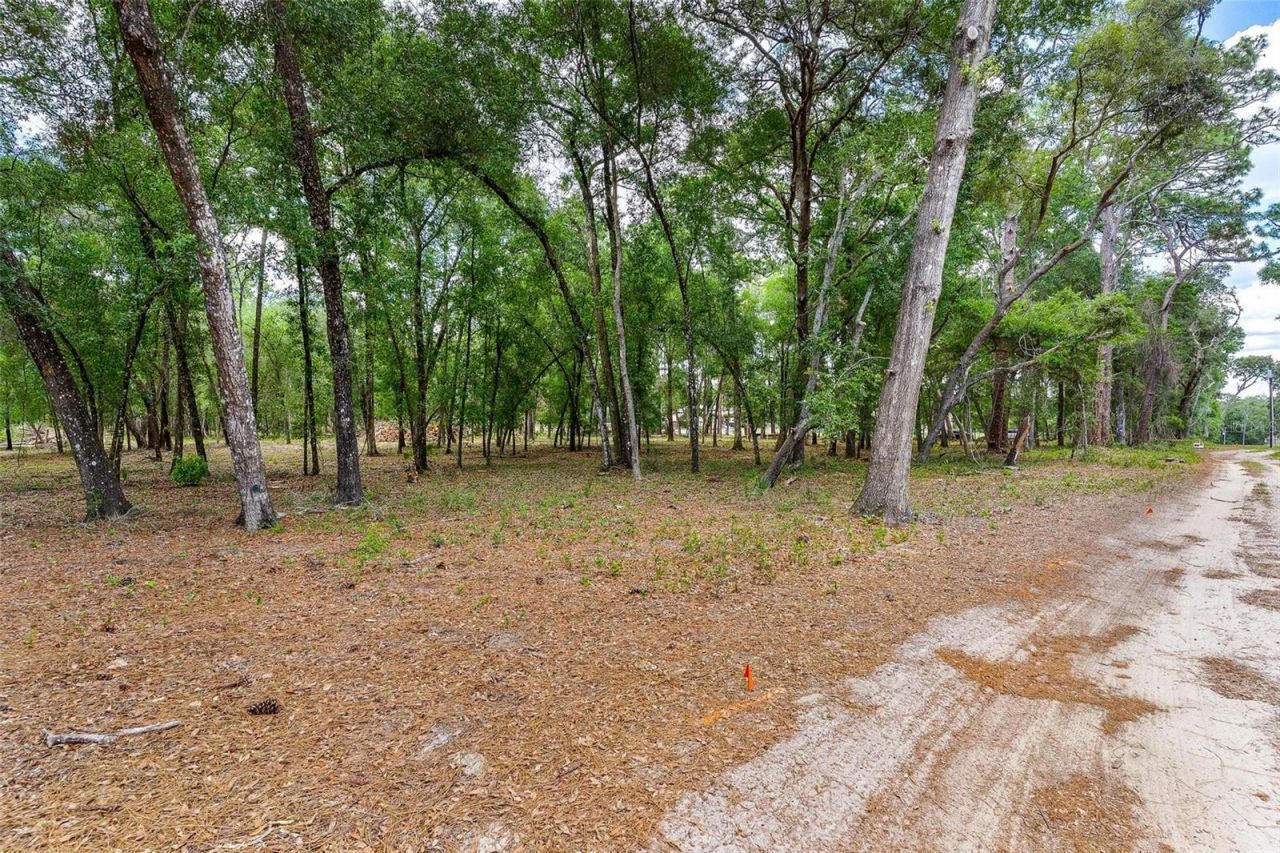 Se 152nd - Lot 16 (ravenswood Rd) Parcel B Place, Altoona, FL 32702 Photo