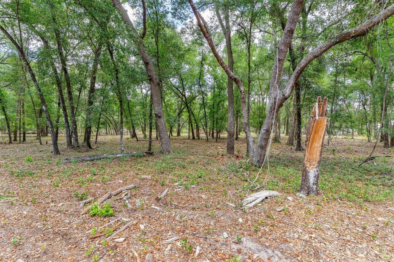 Se 152nd - Lot 16 (ravenswood Rd) Parcel B Place, Altoona, FL 32702 Photo