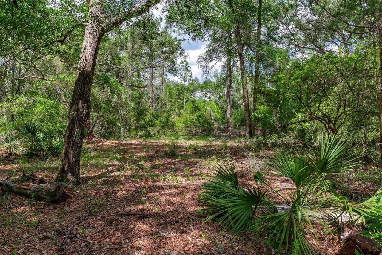 Se 152nd - Lot 16 (ravenswood Rd) Parcel B Place, Altoona, FL 32702 Photo