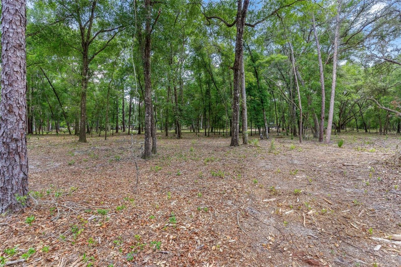 Se 152nd - Lot 16 (ravenswood Rd) Parcel B Place, Altoona, FL 32702 Photo