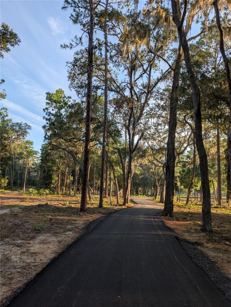 Se 152nd - Lot 16 (ravenswood Rd) Parcel B Place, Altoona, FL 32702 Photo