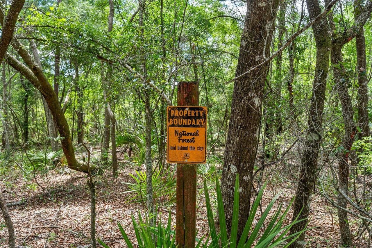 Se 152nd - Lot 16 (ravenswood Rd) Parcel B Place, Altoona, FL 32702 Photo