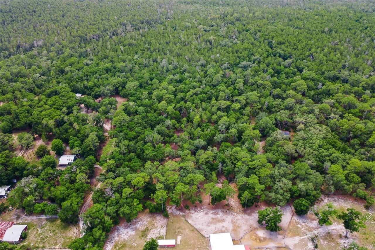 Se 152nd - Lot 16 (ravenswood Rd) Parcel B Place, Altoona, FL 32702 Photo