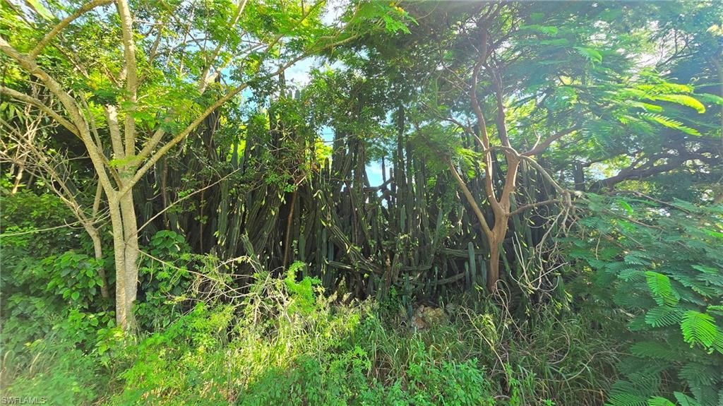 1227 Mangrove Ln, Chokoloskee, FL 34138 Photo