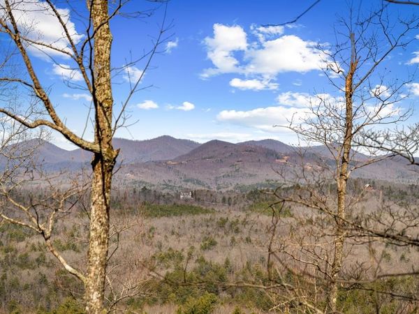 Lot 20 Raven Ridge Circle, Mineral Bluff, GA 30559