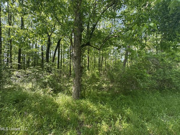 Old Hwy 471 , Brandon, MS 39042