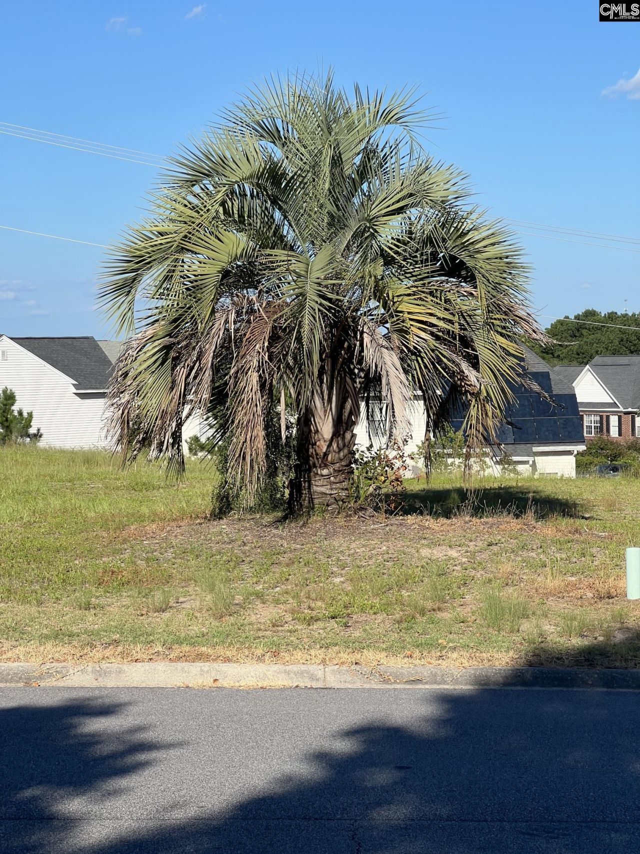 28 Hunters Pond Drive Photo 4