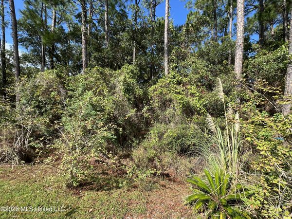 Pinewood Drive, Pass Christian, MS 39571