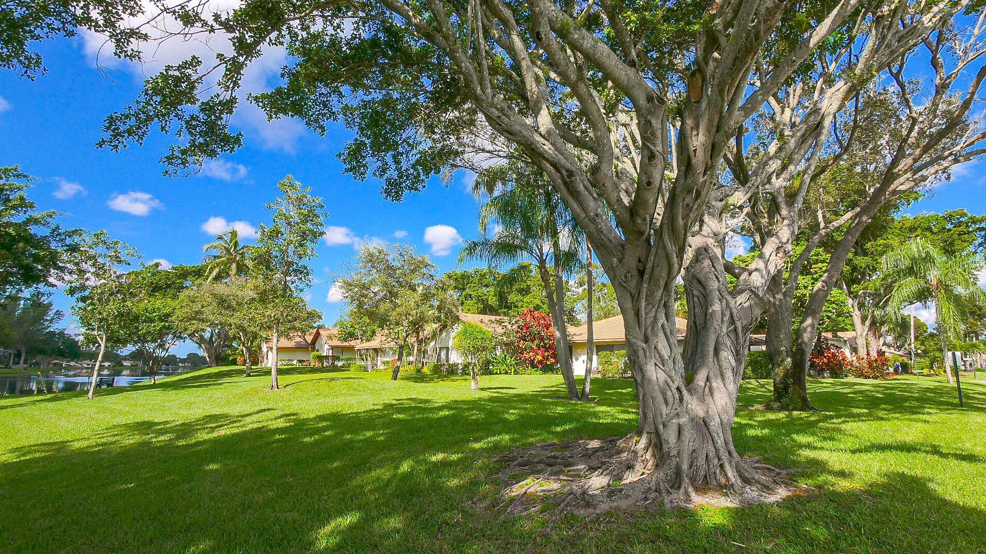 3408 Rose Hill Way, Unit 143, Lauderhill, FL 33319 Photo