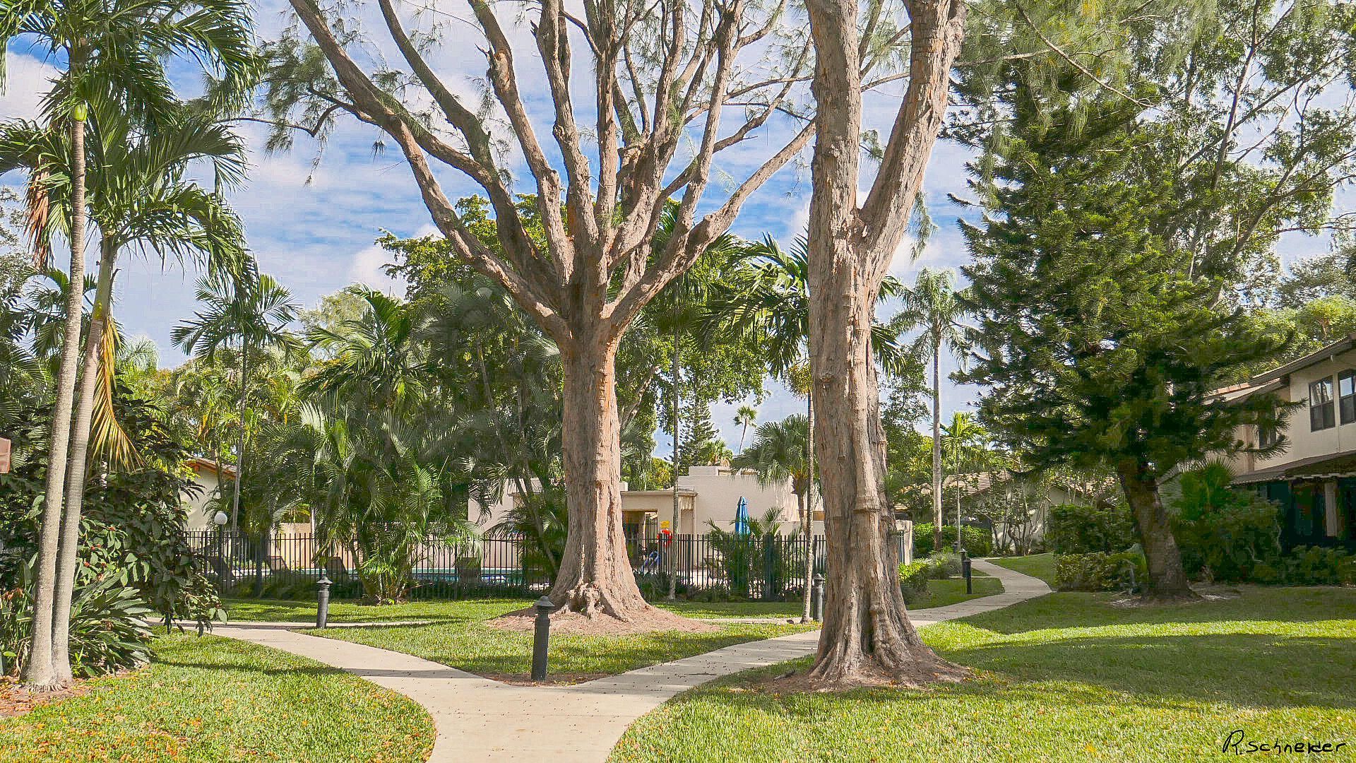 3408 Rose Hill Way, Unit 143, Lauderhill, FL 33319 Photo