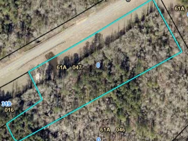 0 US HWY 319 N, Kite, GA 31049