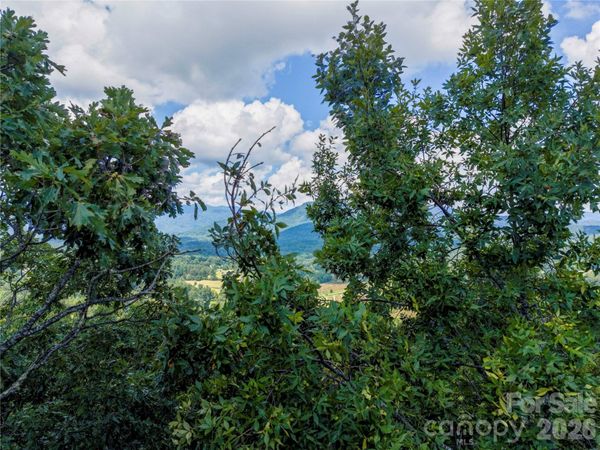 0 High Pines Loop , Lake Lure, NC 28746