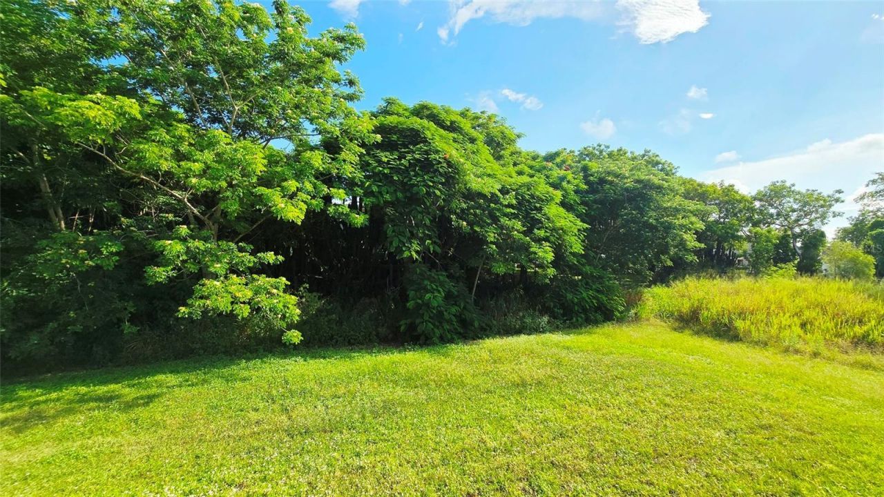 1227 Mangrove Lane, Chokoloskee, FL 34138 Photo