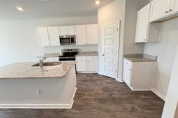 1301 American Shad Dr. photo 4