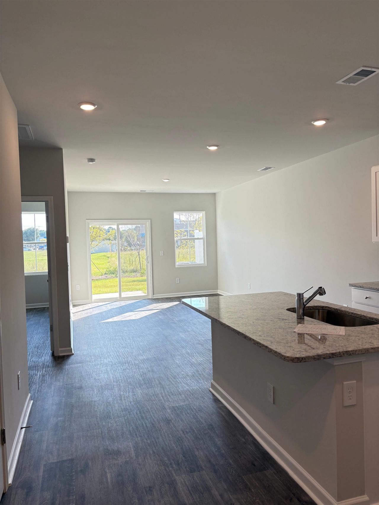 1301 American Shad Dr. Photo 4