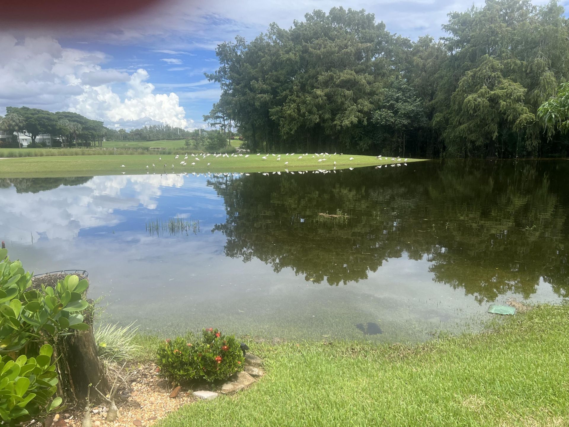 4638 Carlton Golf Drive, Lake Worth, FL 33449 Photo