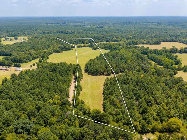 TBD 24Ac Tract Shandy Road , Arkadelphia, AR 71923
