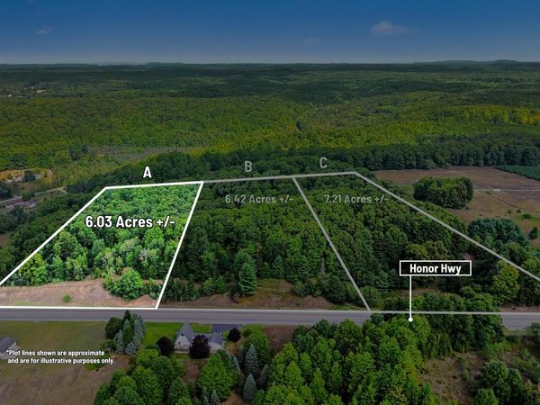 Parcel A, Honor Highway, Honor, MI 49640