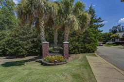 23 Palmetto Wood Court photo 4