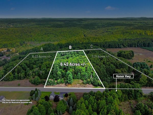 Parcel B, Honor Highway, Honor, MI 49640