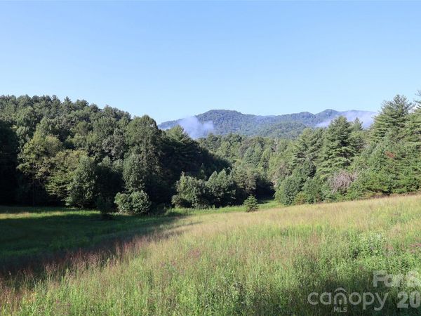99999 Dream Valley Drive , Clyde, NC 28721