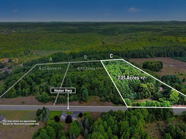Parcel C, Honor Highway, Honor, MI 49640