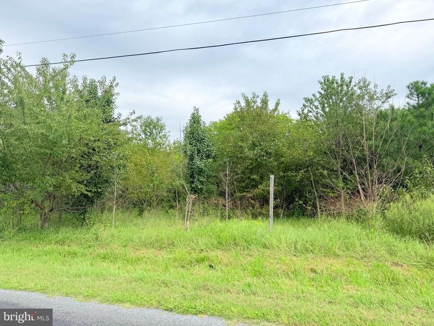 15441 Cutoff Road , Unknown, MD 21640 Main Photo
