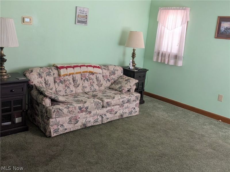 313 E Line Street, Minerva, OH 44657 Photo 10