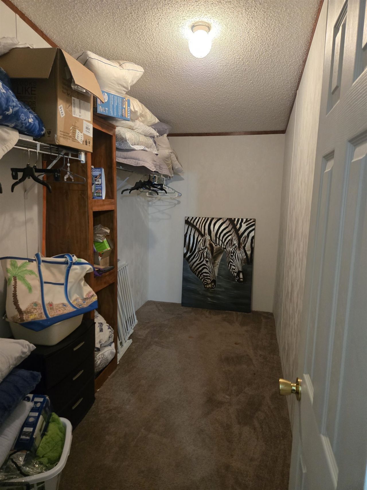 609 Live Oak Dr. Photo 19