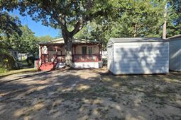 609 Live Oak Dr. photo 4