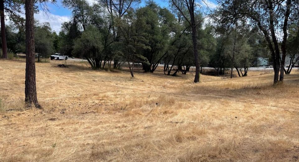 349 Cuckoo Ct, Applegate, CA 95703 Photo