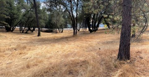 349 Cuckoo Ct, Applegate, CA 95703 Photo