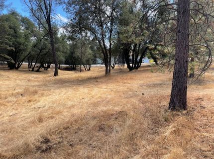 349 Cuckoo Ct, Applegate, CA 95703 Photo