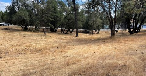 349 Cuckoo Ct, Applegate, CA 95703 Photo