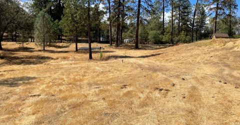 349 Cuckoo Ct, Applegate, CA 95703 Photo