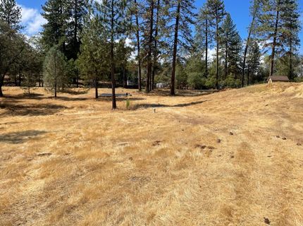 349 Cuckoo Ct, Applegate, CA 95703 Photo