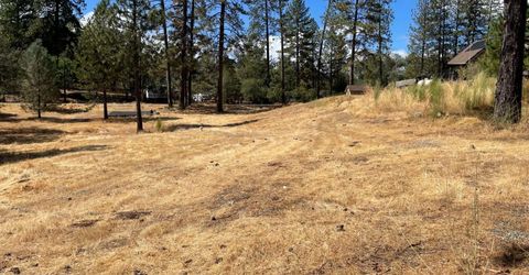 349 Cuckoo Ct, Applegate, CA 95703 Photo