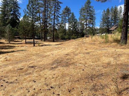 349 Cuckoo Ct, Applegate, CA 95703 Photo