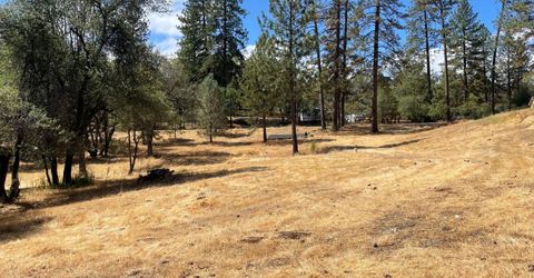 349 Cuckoo Ct, Applegate, CA 95703 Photo