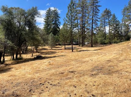 349 Cuckoo Ct, Applegate, CA 95703 Photo
