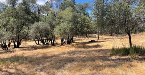 349 Cuckoo Ct, Applegate, CA 95703 Photo