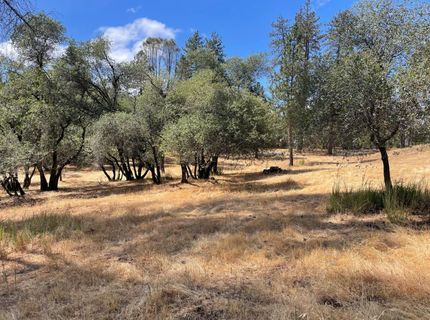 349 Cuckoo Ct, Applegate, CA 95703 Photo