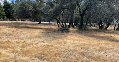 349 Cuckoo Ct, Applegate, CA 95703 Photo