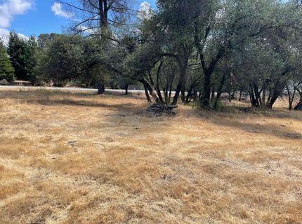 349 Cuckoo Ct, Applegate, CA 95703 Photo