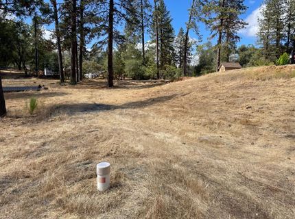 349 Cuckoo Ct, Applegate, CA 95703 Photo